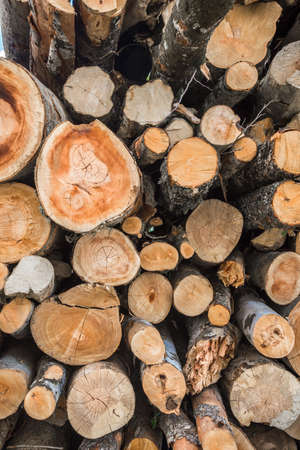 Stacked Logs Texture, Natural Background. Firewood stacked and prepared for winter.の写真素材