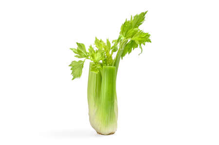 Fresh stems celery isolated on whiteの写真素材
