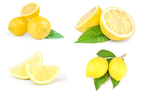 Collection of lemons isolated on a white backgroundの写真素材