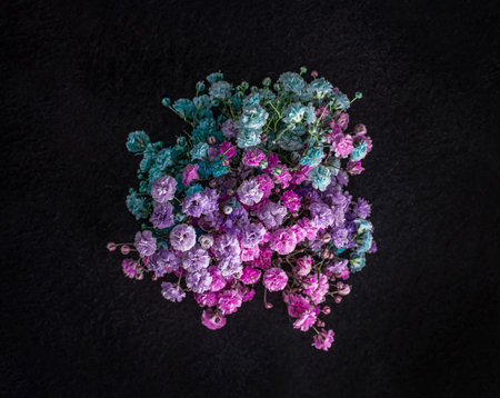 Top view of a flower on black background. Closeup. Nature.の写真素材