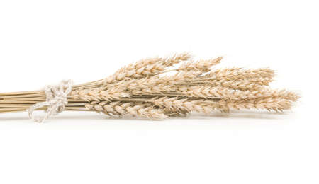 Wheat isolated on white backgroundの写真素材
