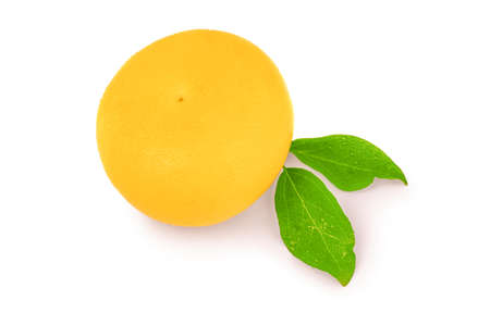 Ripe switty isolated on a white background with green leavesの写真素材