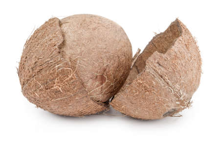 Coconut isolated on a white background
