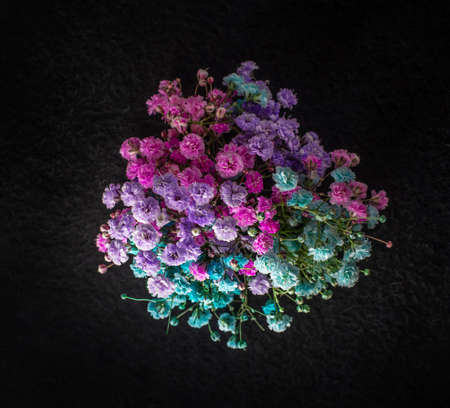 One flower on black background. View from above.の写真素材