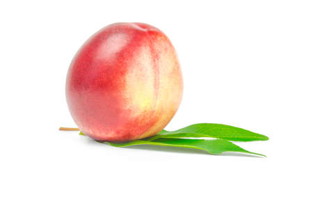 Nectarine fruit isolated on white background cutoutの写真素材