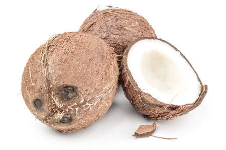 Coconut on a white backgroundの写真素材