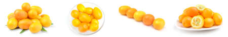 Group of kumquats isolated on whiteの写真素材