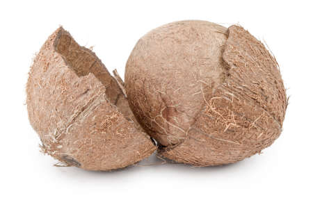 Coconut isolated on a white backgroundの写真素材