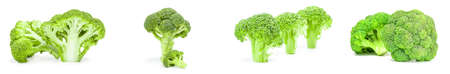 Group of fresh green broccoli isolated over a white backgroundの写真素材