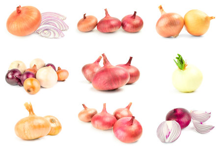 Set of Bulb of onionの写真素材