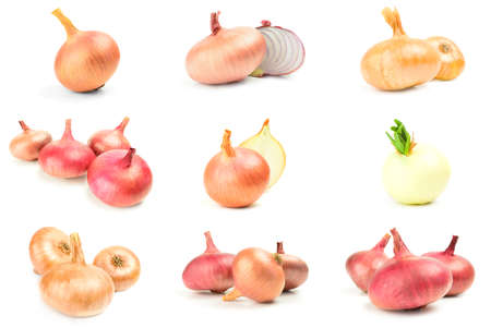 Group of Ripe onion over a white backgroundの写真素材