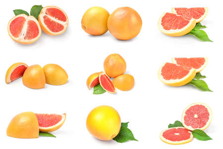 Collection of grapefruit isolated on a white backgroundの写真素材