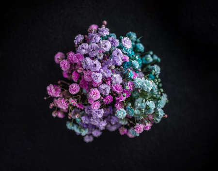 Studio shot of flower on a black background. On a dark background.の写真素材