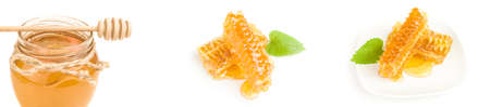 Set of honey bee isolated on a white backgroundの写真素材