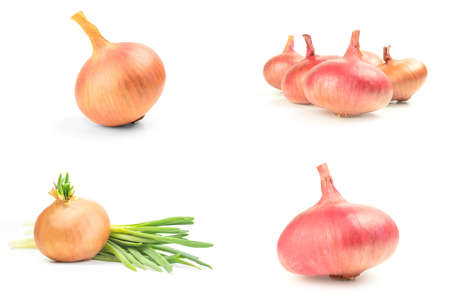 Group of Onion isolated on a white background cutoutの写真素材