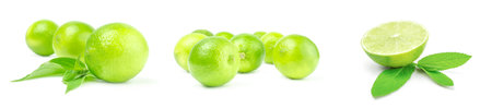 Collage of limes isolated on a white background cutoutの写真素材