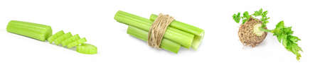 Collection of celery isolated on a white backgroundの写真素材