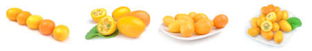 Group of kumquats on a white backgroundの写真素材