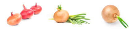 Group of Fresh onion bulbs over a white backgroundの写真素材
