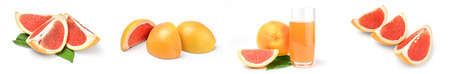Set of grapefruit on whiteの写真素材