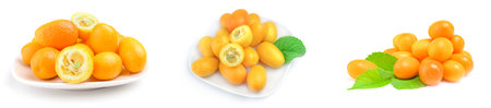 Collage of cumquats isolated on a white backgroundの写真素材