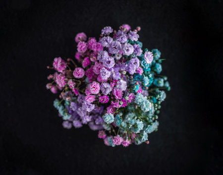 Studio shot of flower on a black background. Bright and beautiful flower.の写真素材