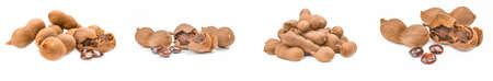Set of Tamarind isolated on a white backgroundの写真素材