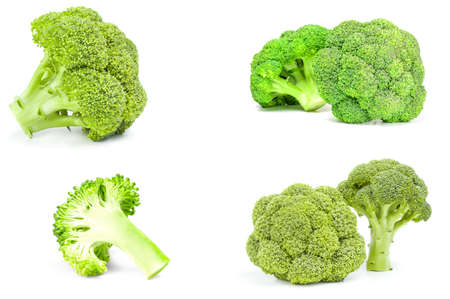 Set of fresh green broccoli on a white backgroundの写真素材