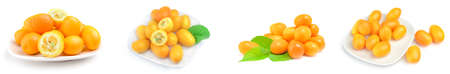 Set of cumquats isolated on whiteの写真素材