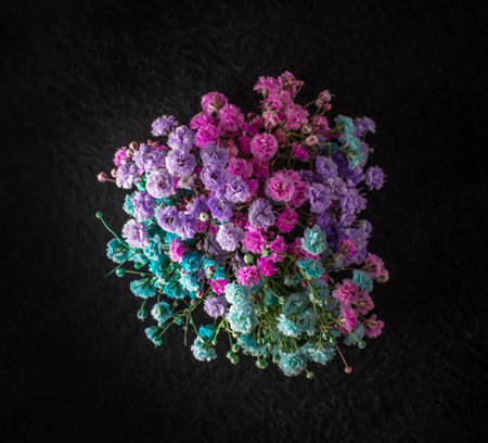Studio shot of flower on black background. View above.の写真素材