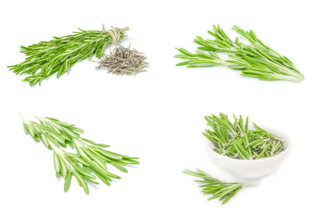 Collage of rosemary isolated on a white backgroundの写真素材