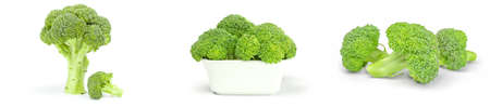 Group of fresh green broccoli isolated on a white cutoutの写真素材