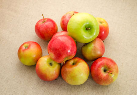 Green and red apples on flaxの写真素材