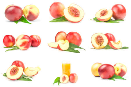Collage of ripe peaches isolated on a white backgroundの写真素材