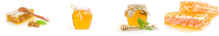 Collection of honey bee isolated over a white backgroundの写真素材