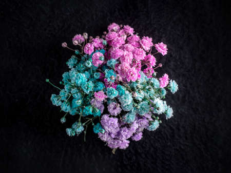 Studio shot of flower on a black background. On a dark background.の写真素材