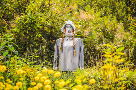 Scarecrow in the gardenの写真素材