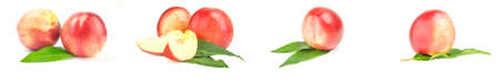 Collection of ripe peaches isolated on a white backgroundの写真素材