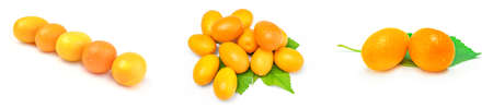 Collage of kumquats isolated on a white backgroundの写真素材