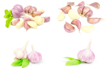 Group of Garlic isolated on a white background cutoutの写真素材