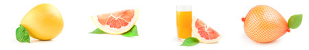 Collection of tropical fruit isolated on a white background cutoutの写真素材