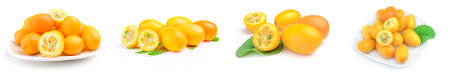 Set of cumquats isolated on a white backgroundの写真素材