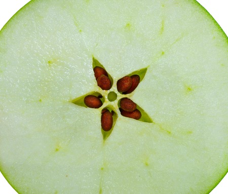 a apple portion with seed isolated on white backgroundの写真素材