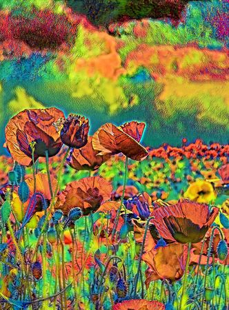 psychedelic poppy field  and sky in very bright colors