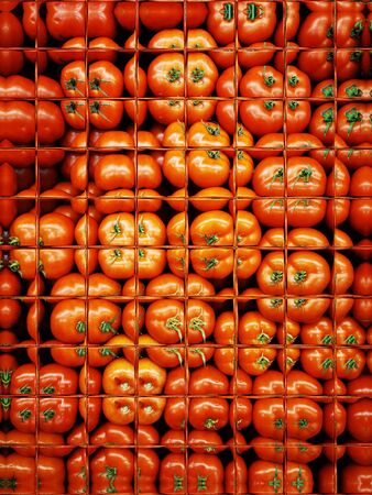 patterned glass effect from many fresh organic tomato at farmers market