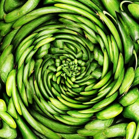 spiral pattern from many fresh organic cucumbers at a farmers market
