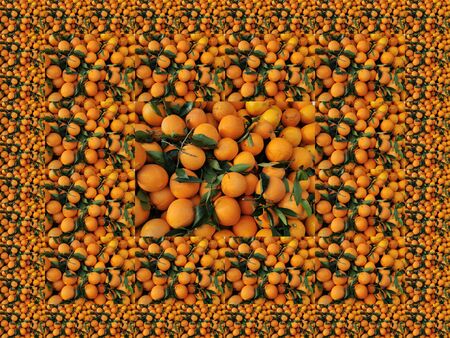 magic carpet abstract patterns and design from many organic orange at farmerâs marketの写真素材