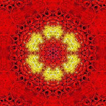 red dahlia bud head with small yellow delicate center viewed in closeup detail and transformed in to patterns and intricate designsの写真素材