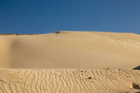 Desert landscape. Dunes of orange sand, sunny day, shadows on the sand, wind wrinkles on the sand, dry small bushes.の写真素材