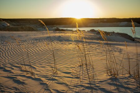 Footprints in the sand in the desert. The road to the oasis. Sunset.の写真素材
